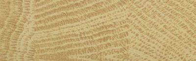 alpha-tape® ABS smhr11798 mkt-16master oak natural hay endgrain