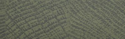 alpha-tape® ABS smhr11802 mkt-16master oak green endgrain
